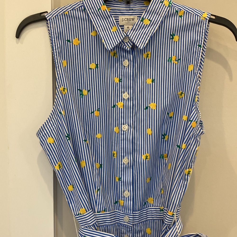 J.Crew Factory  Blue striped Dress with Yellow Lemons - Picture 4 of 8